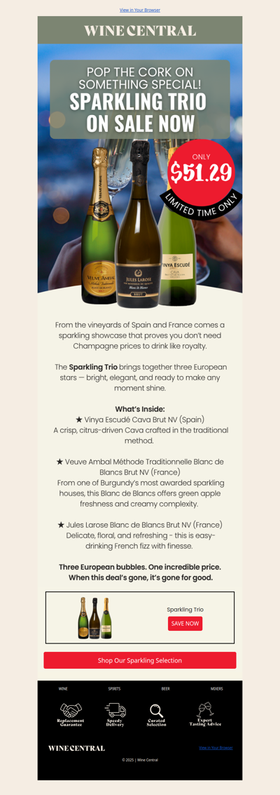 Pop, Pour, Party - Sparkling Trio Now on Flash Sale ✨