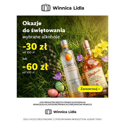Wiosenne wybory: -30 zł lub -60 zł