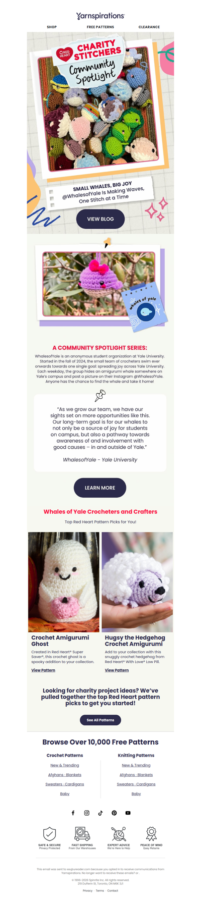 Community Spotlight: Whales of Yale