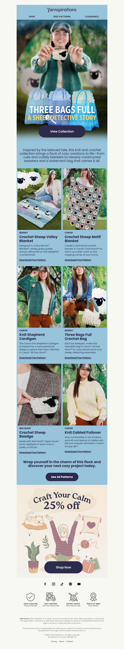 🐑 The Case of the Missing Stitch