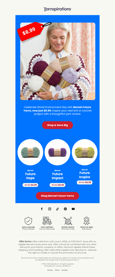🌎 Bernat Future Yarns Now $6.99