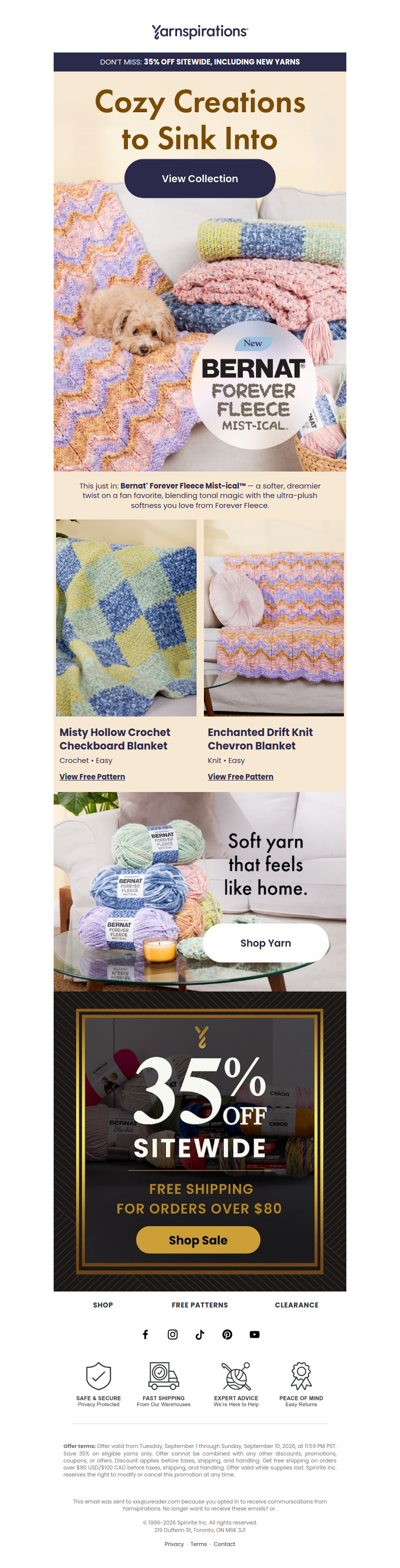 NEW Bernat Forever Fleece Mist-ical Patterns