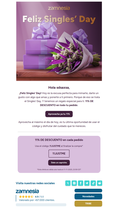 ¡Feliz Singles’ Day 💜 11% DE DESCUENTO EN TODO!