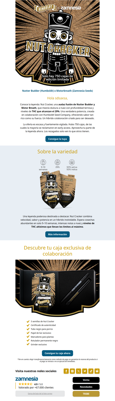 Descubre la leyenda de Nut Cracker💂‍♂️