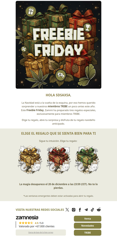 Freebie Friday: el regalo de Navidad anticipado de Zammi 🎁