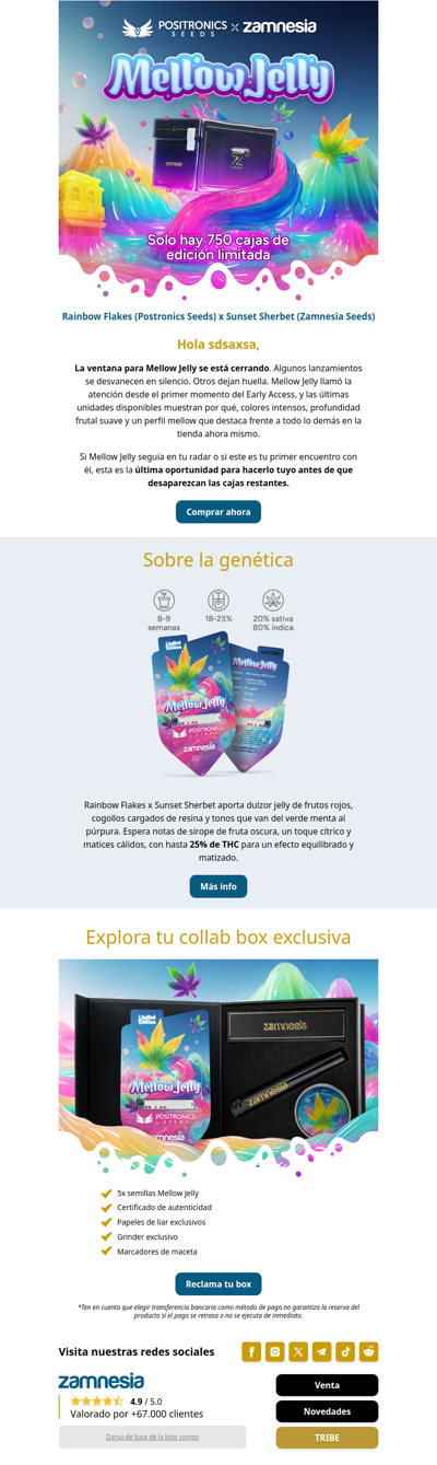 El último vistazo a Mellow Jelly