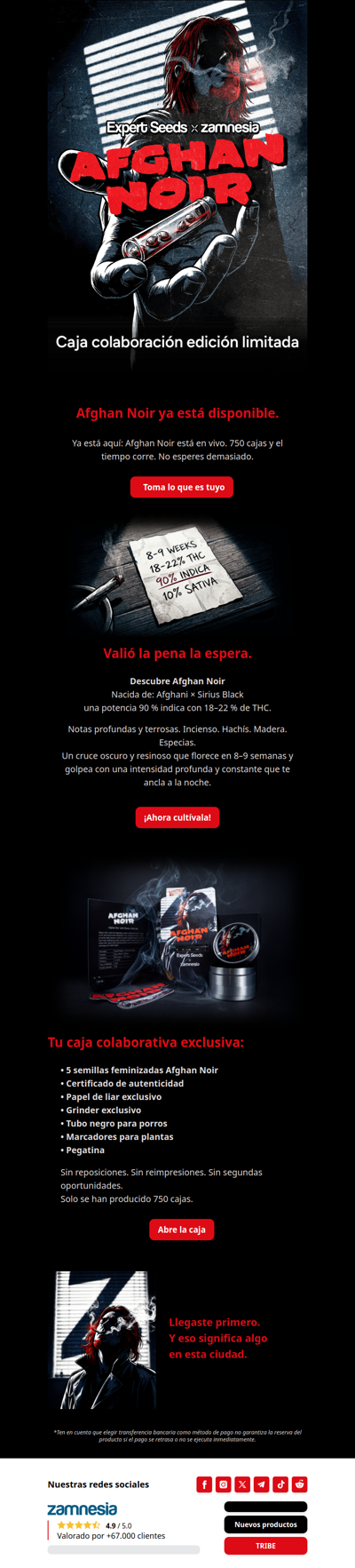 Afghan Noir sale al escenario 🎥