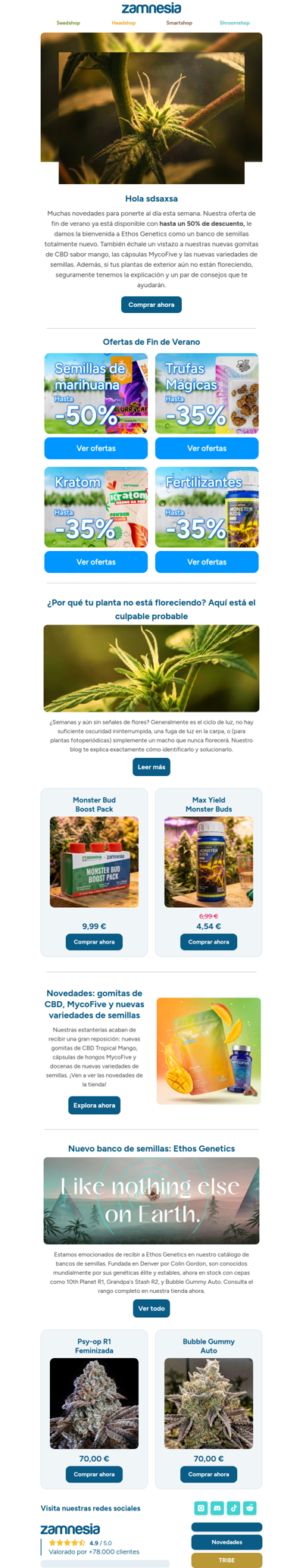 Nuevas Genetics en directo + Consejos de floración🌱